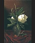 Two Magnolia Blossoms in a Glass Vase